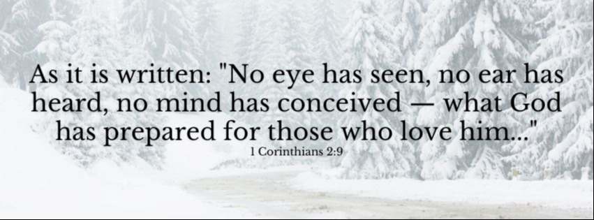 Weekly Market Insights: Kevin Warsh Nominated to Fed Chair