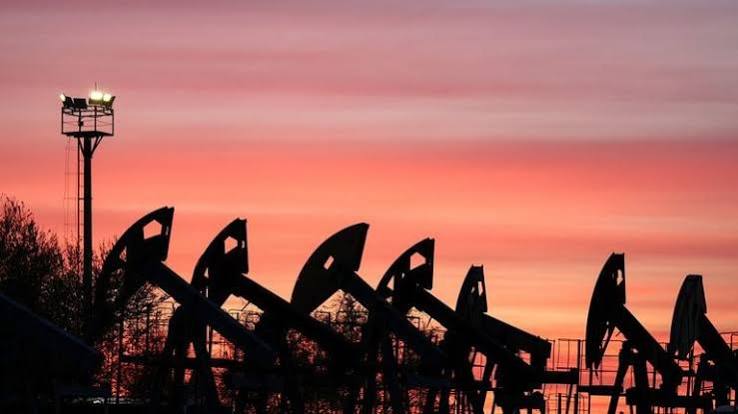 Weekly Market Insights | Fed Ups Rates; Investors Ponder AI, Oil